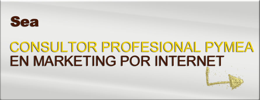 Sea Asesor en Marketing por Internet