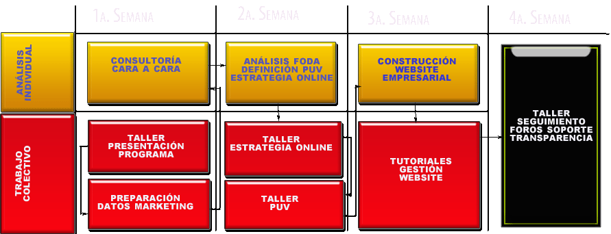 Proceso Consultoria